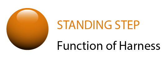 Standing Step